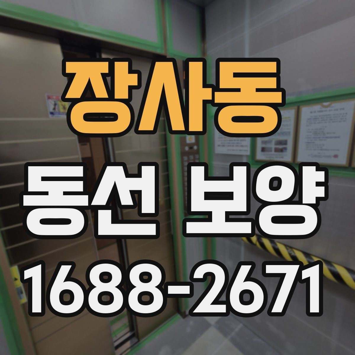 장사동 동선 보양 작업이 필요한 대표 상황