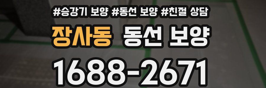 장사동 동선 보양