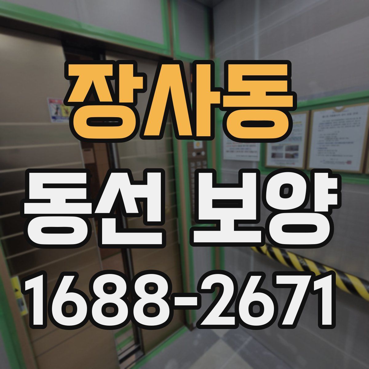 장사동 동선 보양