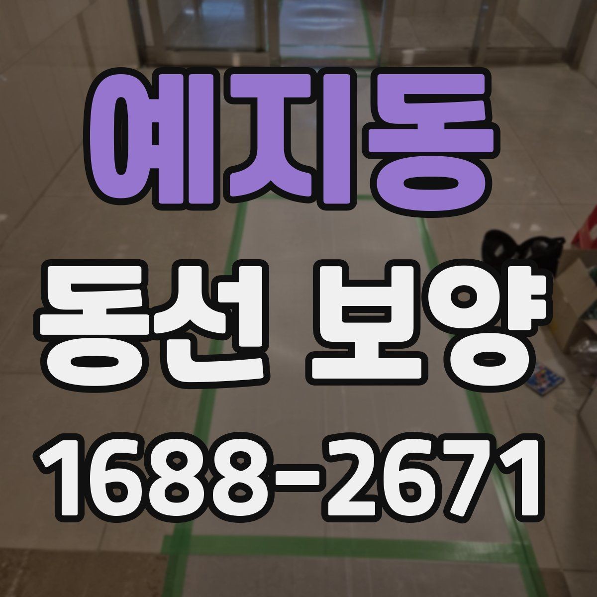 예지동 동선 보양 비용은 어떤 요소로 달라질까