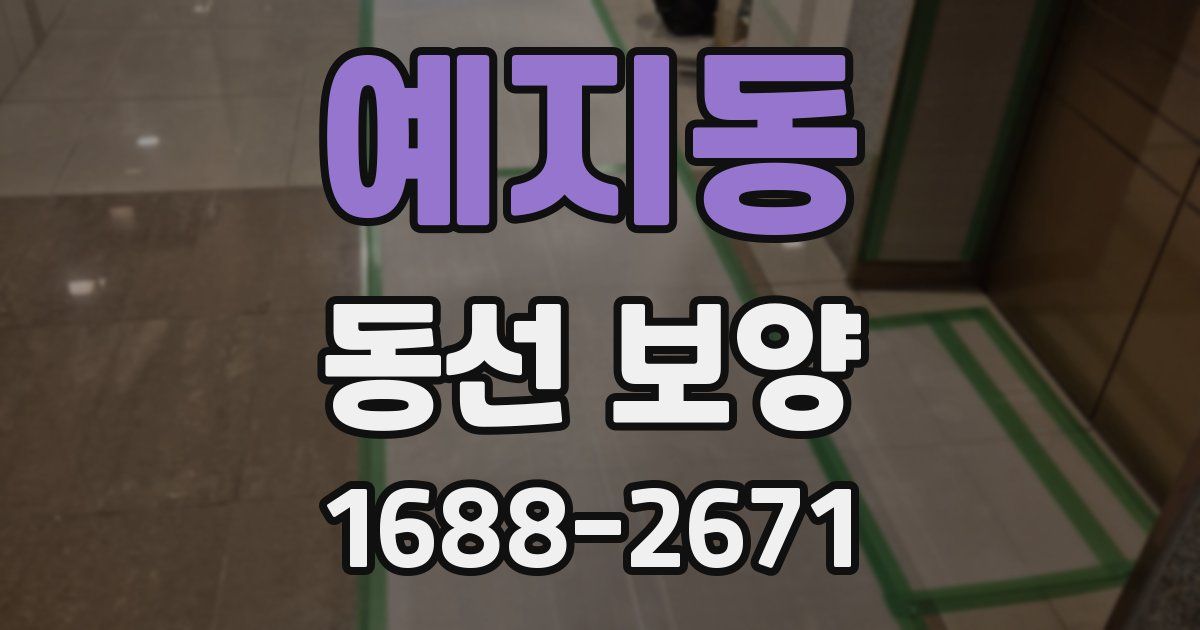 예지동 동선 보양