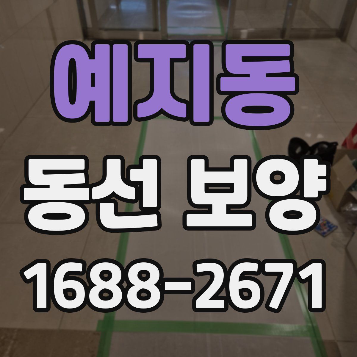 예지동 동선 보양