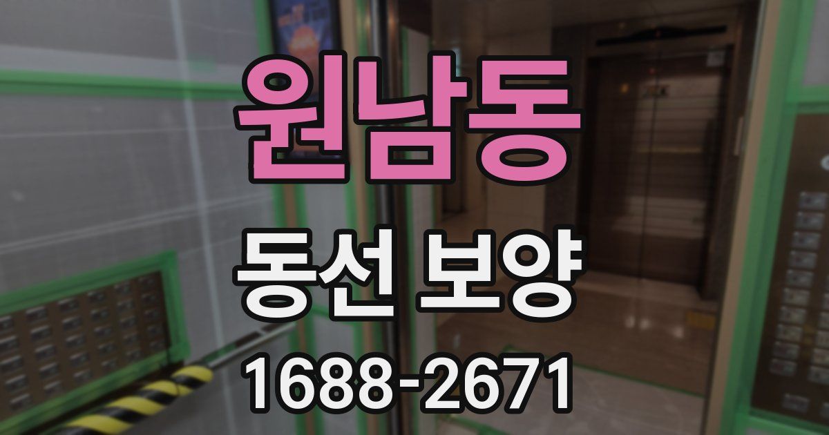 원남동 동선 보양