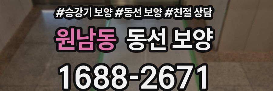 원남동 동선 보양