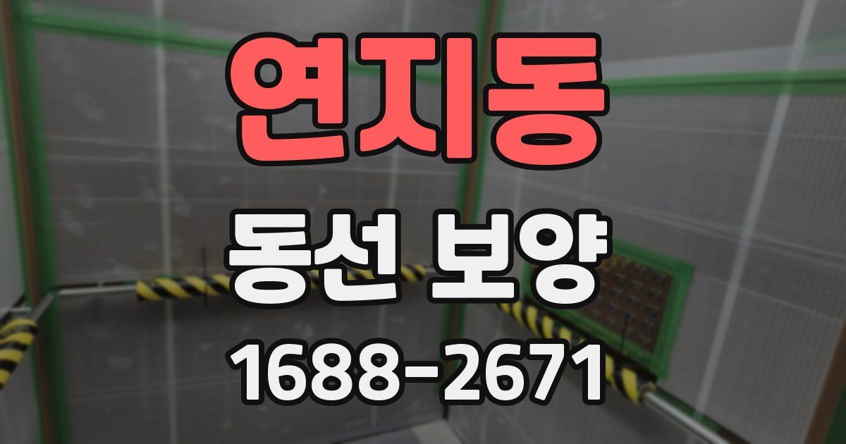 연지동 동선 보양