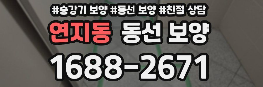 연지동 동선 보양