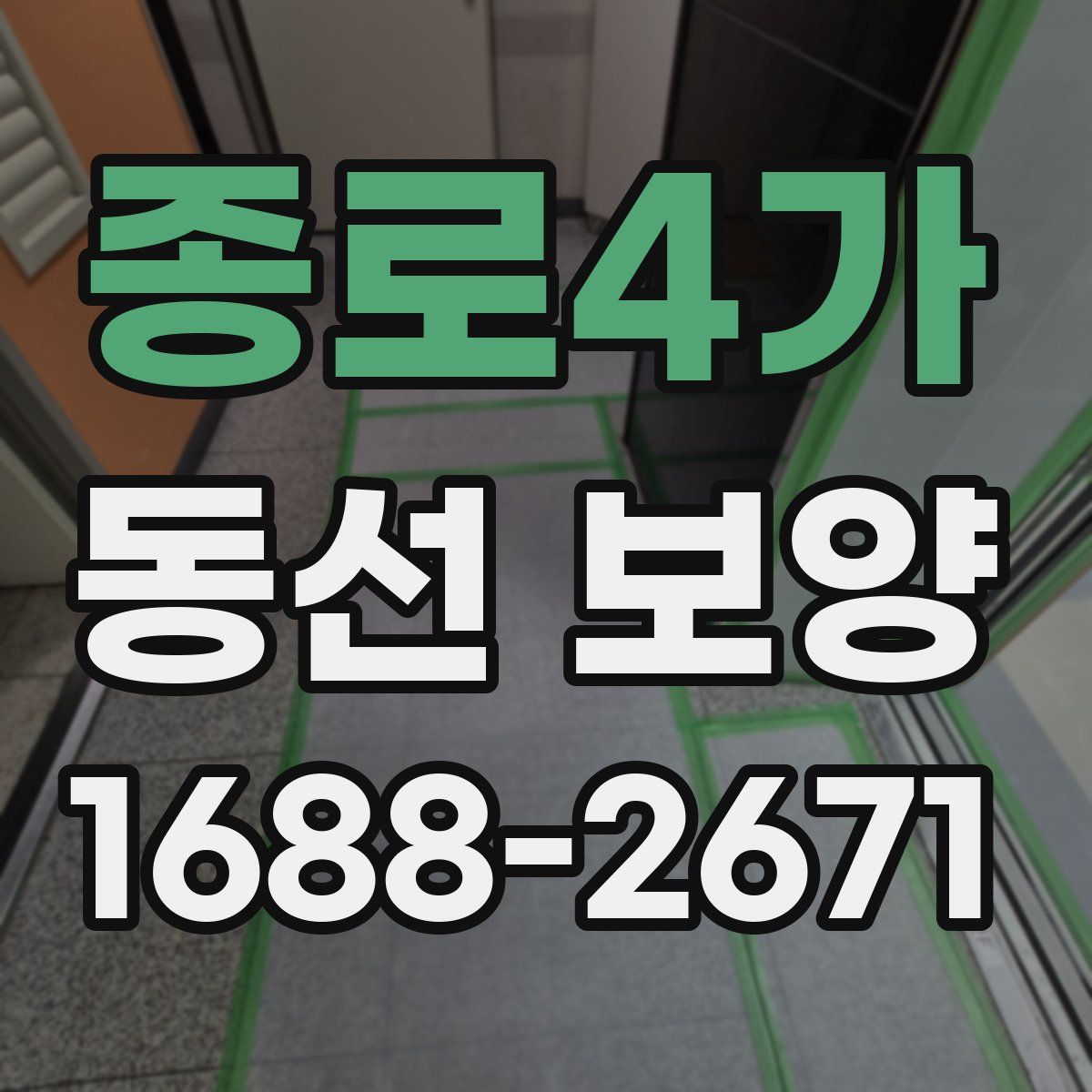 종로4가 동선 보양