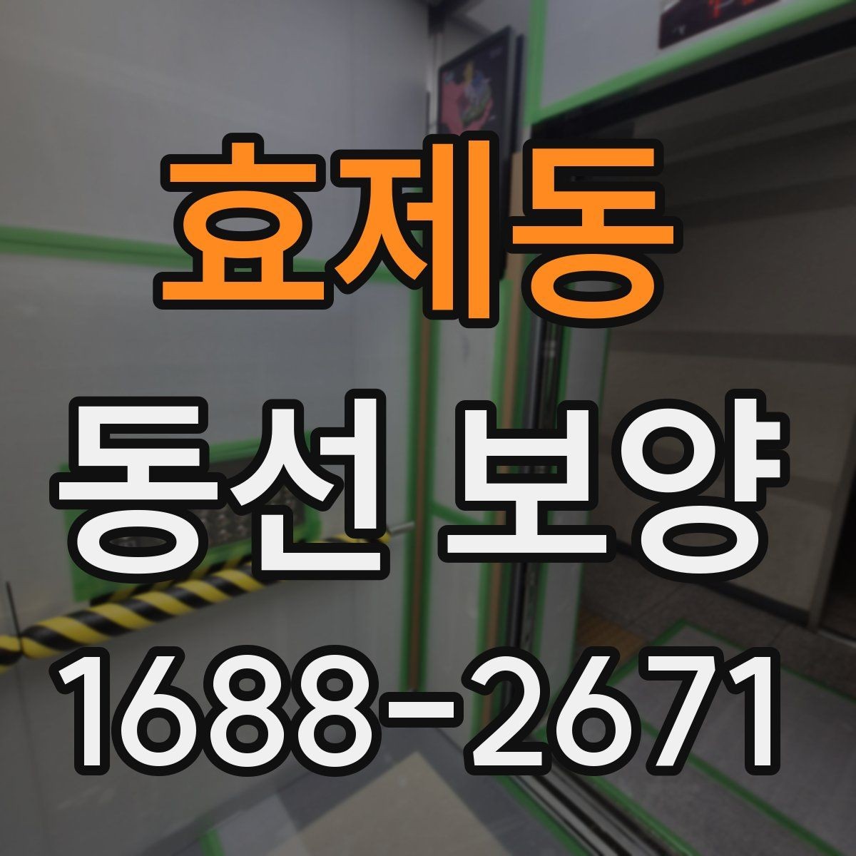 효제동 동선 보양 현장에서 많이 묻는 질문 정리