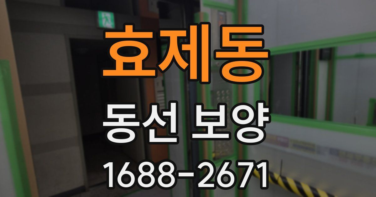 효제동 동선 보양
