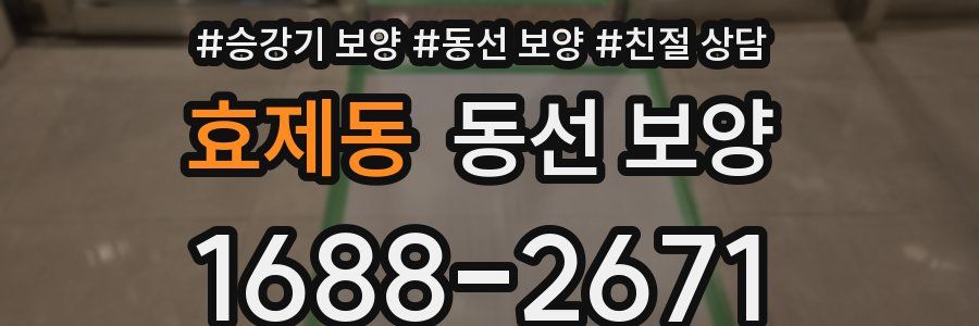 효제동 동선 보양