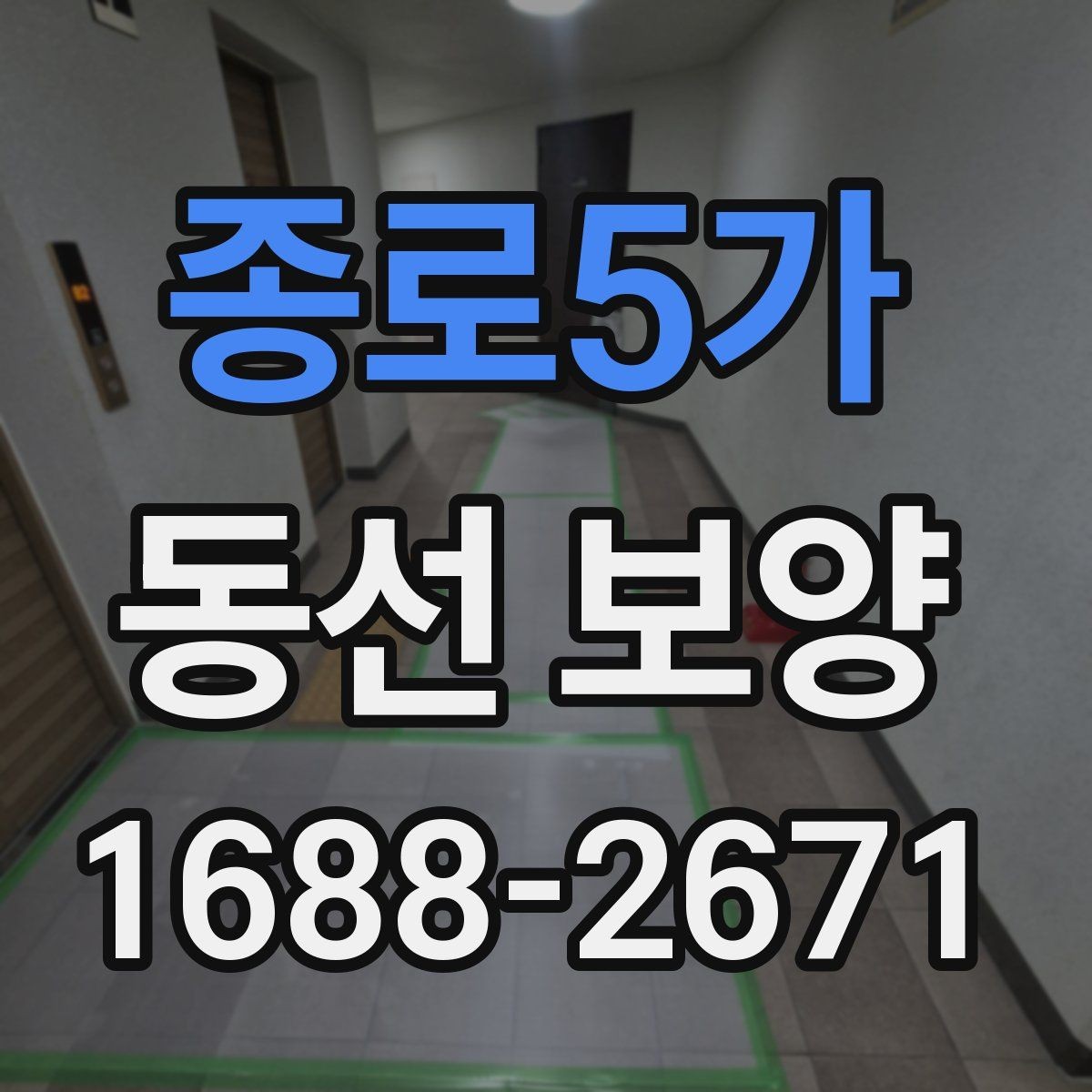 종로5가 동선 보양 공사 전후 주의사항 한눈에 보기