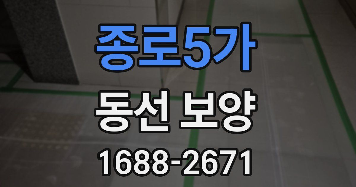 종로5가 동선 보양