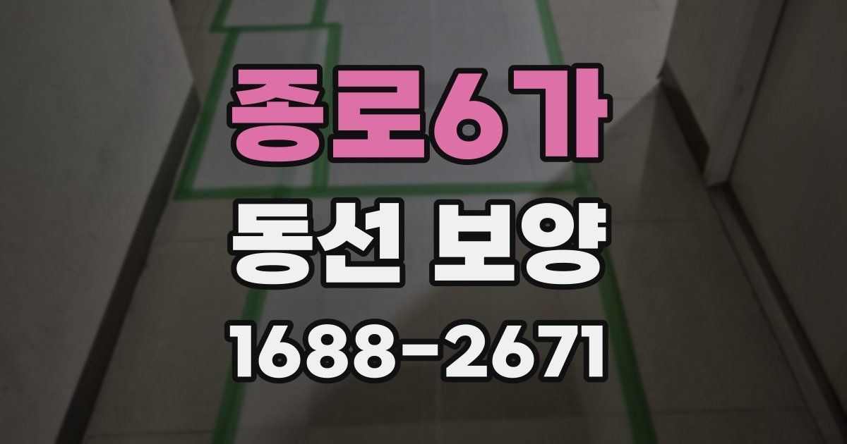종로6가 동선 보양