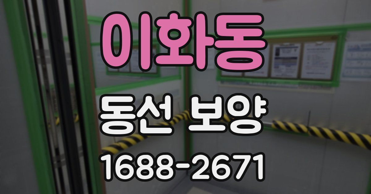 이화동 동선 보양