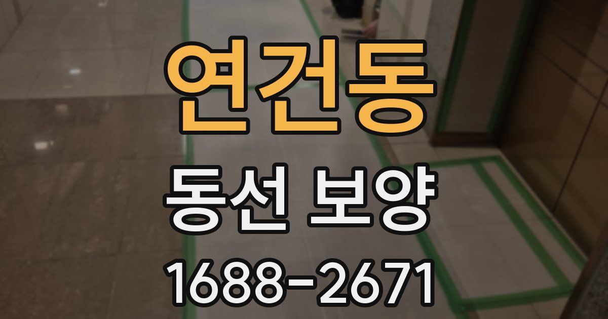 연건동 동선 보양