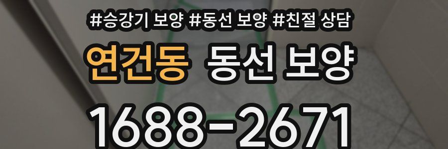 연건동 동선 보양