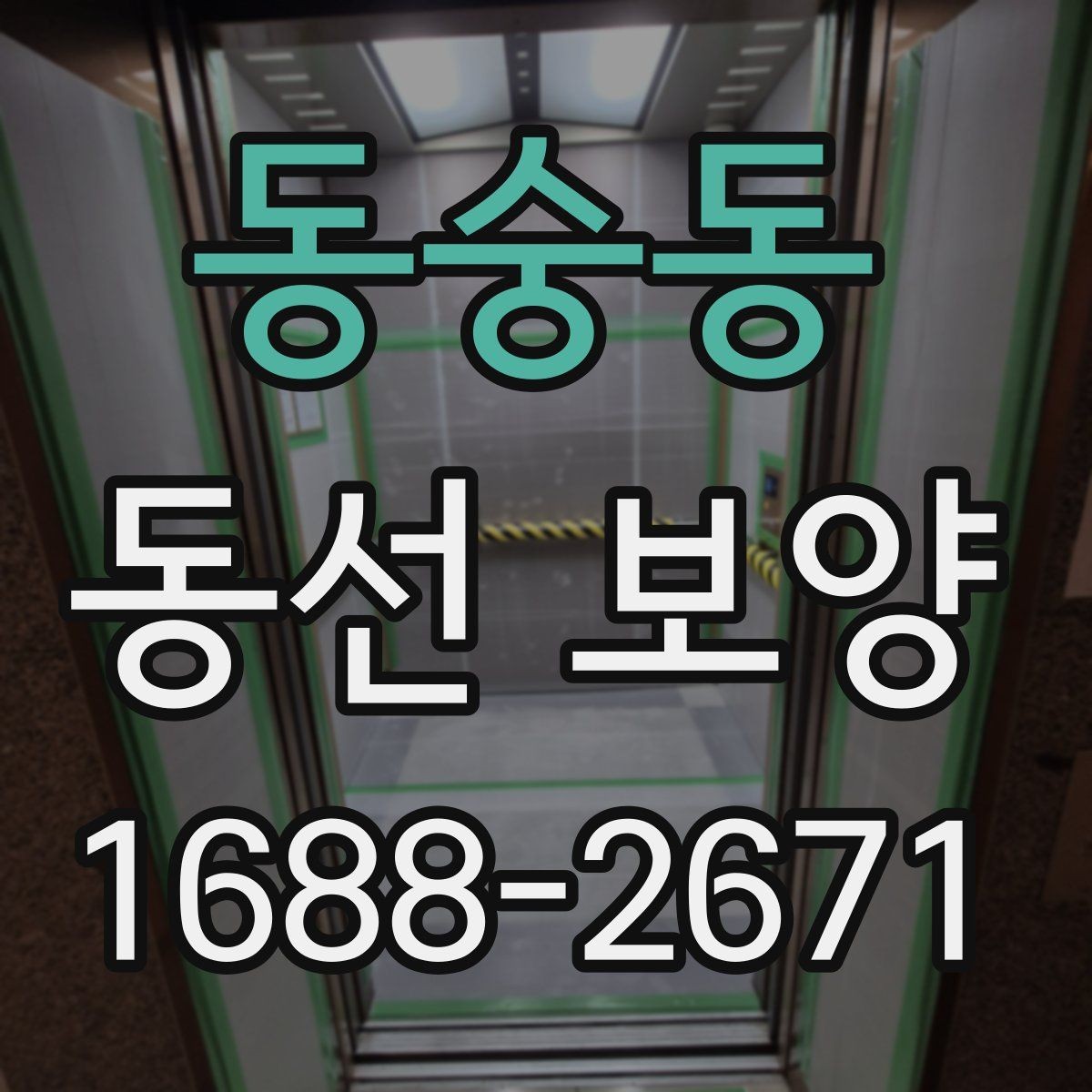 동숭동 동선 보양 작업에서 품질 차이를 만드는 요인
