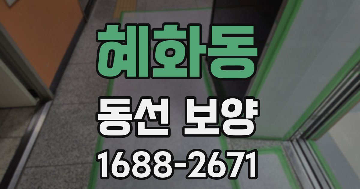 혜화동 동선 보양