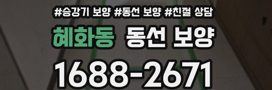 혜화동 동선 보양