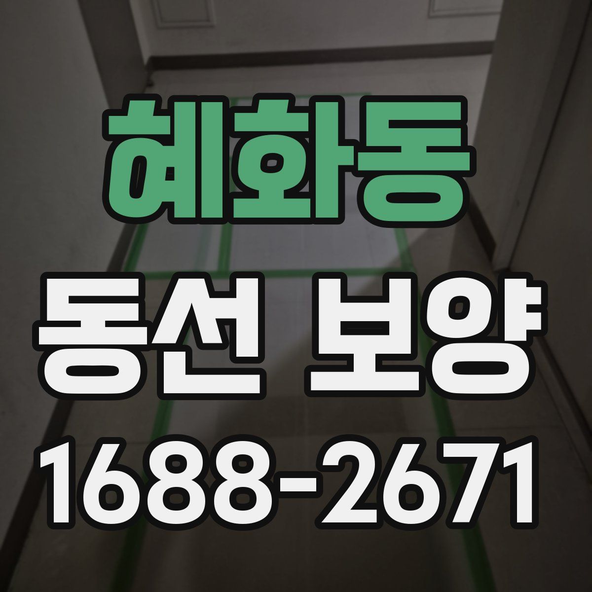 혜화동 동선 보양