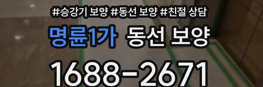명륜1가 동선 보양