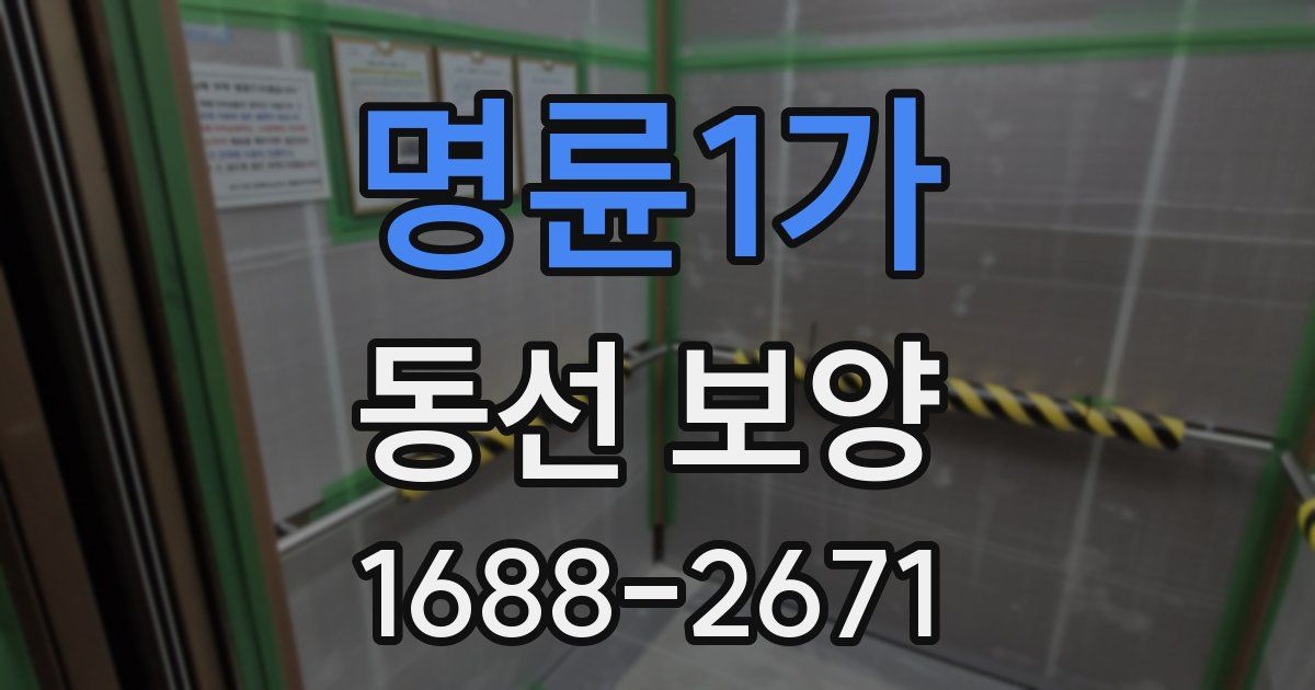 명륜1가 동선 보양