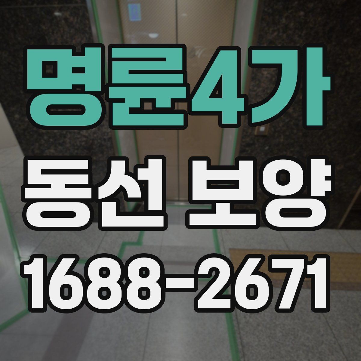 명륜4가 동선 보양 진행 중 생길 수 있는 문제와 대응