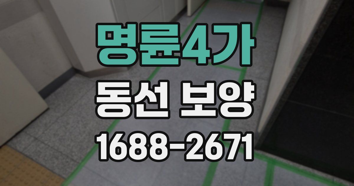 명륜4가 동선 보양