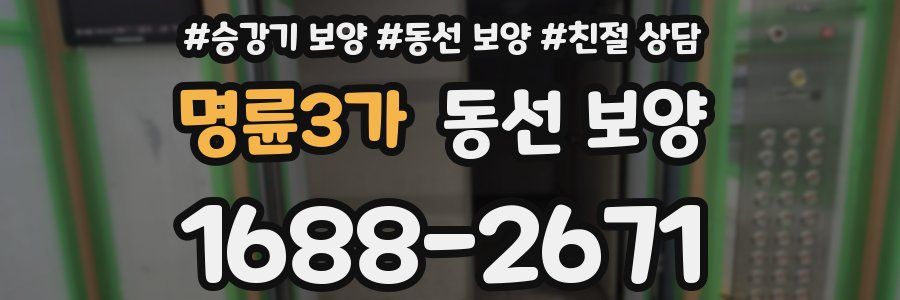 명륜3가 동선 보양