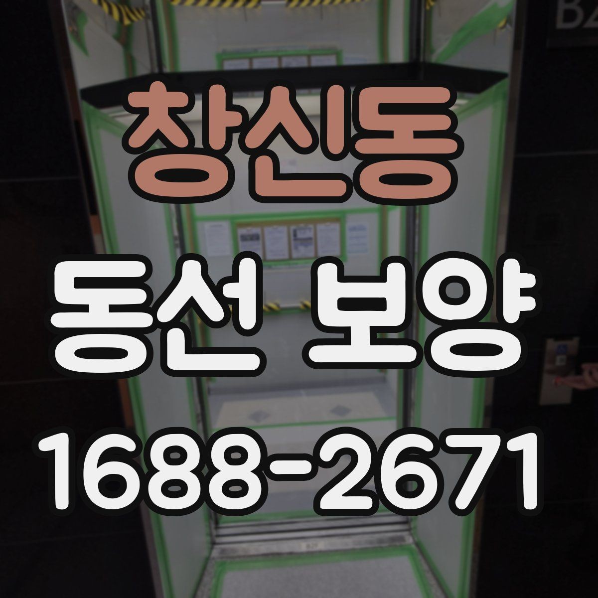 창신동 동선 보양 비용을 줄이기 위한 선택 기준