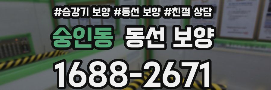 숭인동 동선 보양