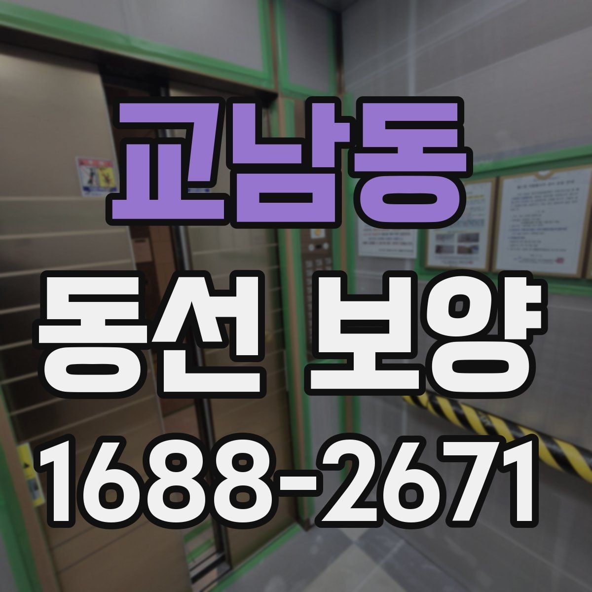 교남동 동선 보양 현장에서 많이 묻는 질문 정리