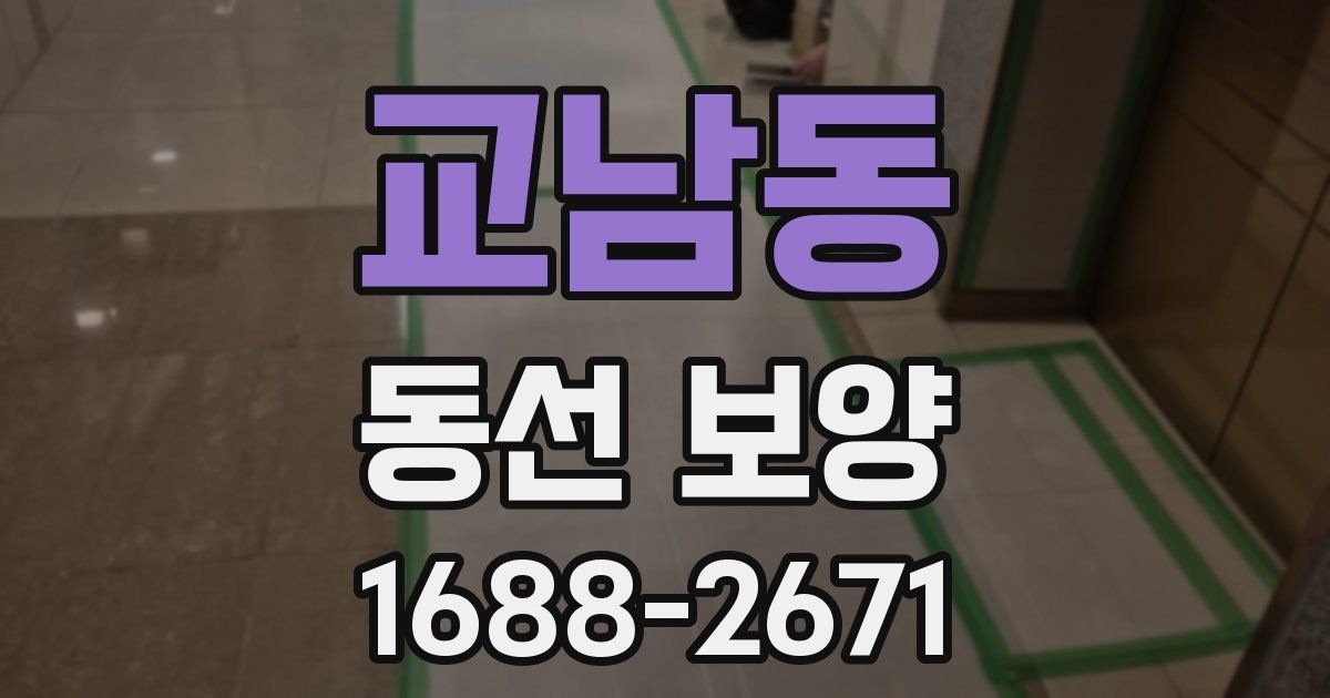 교남동 동선 보양