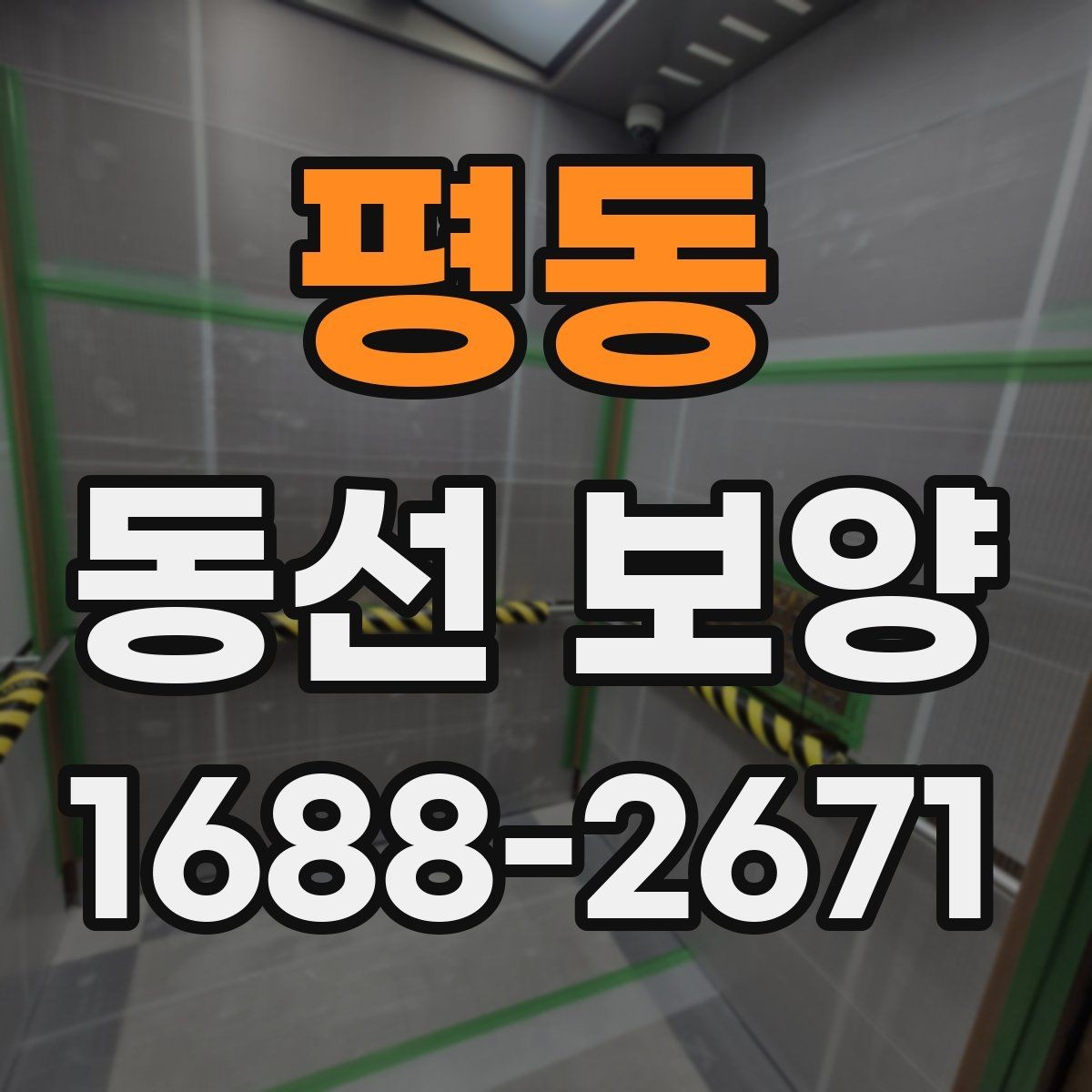 평동 동선 보양 자재 비용과 품질의 관계
