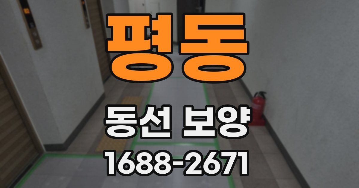 평동 동선 보양