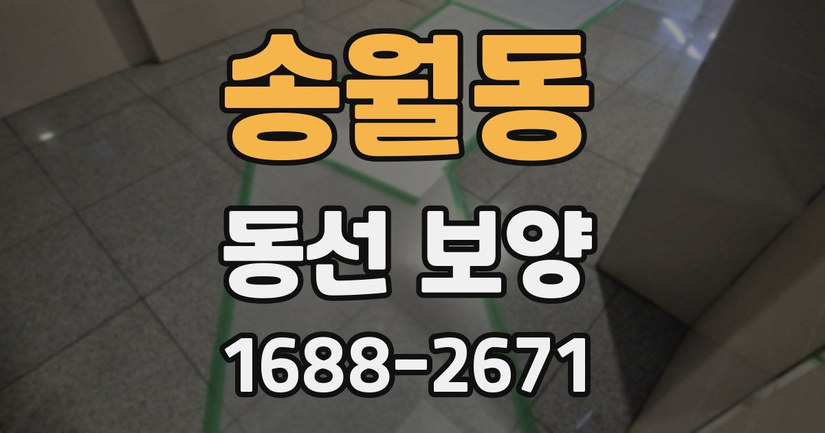 송월동 동선 보양