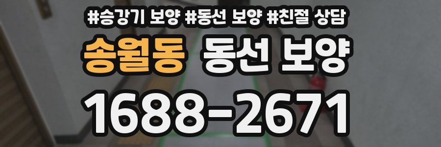 송월동 동선 보양