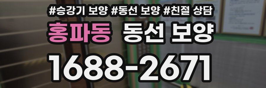 홍파동 동선 보양