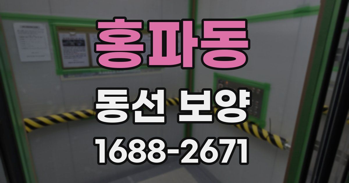 홍파동 동선 보양