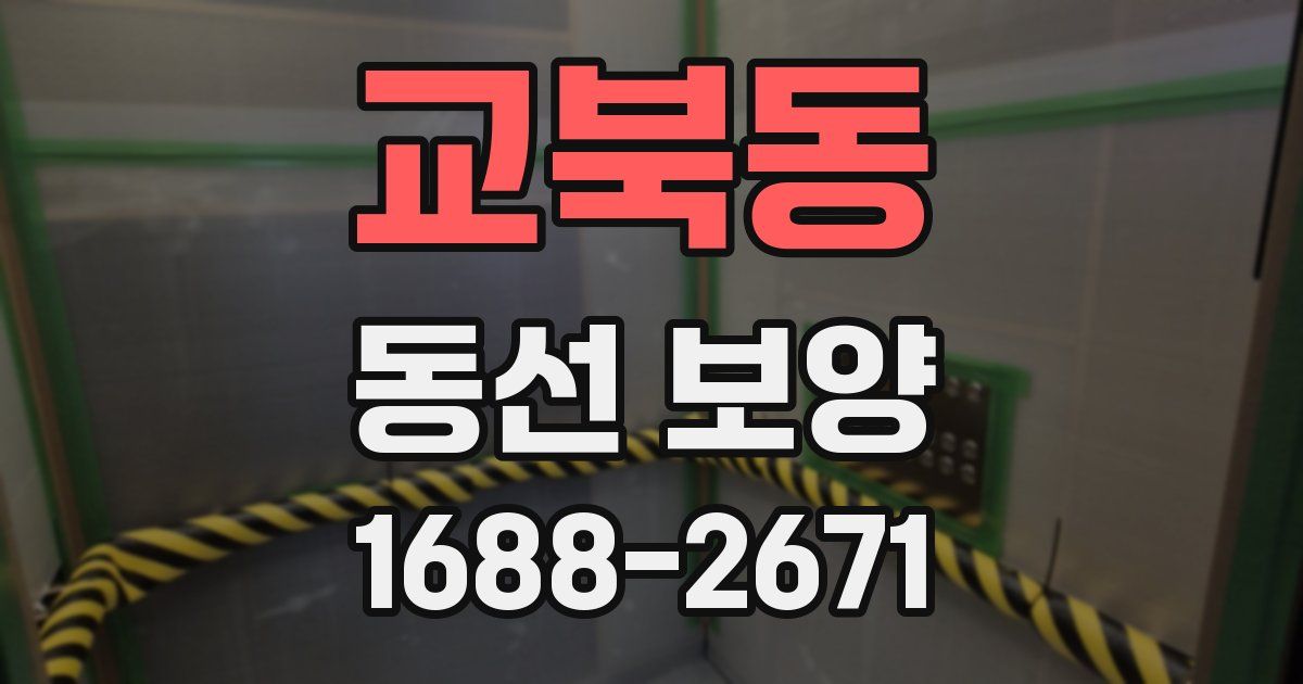 교북동 동선 보양