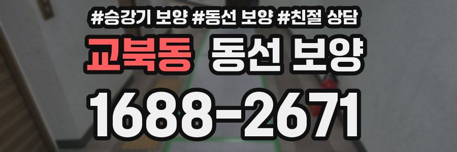 교북동 동선 보양