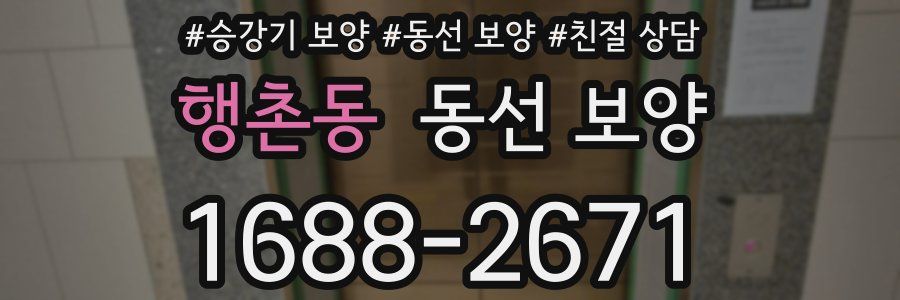 행촌동 동선 보양