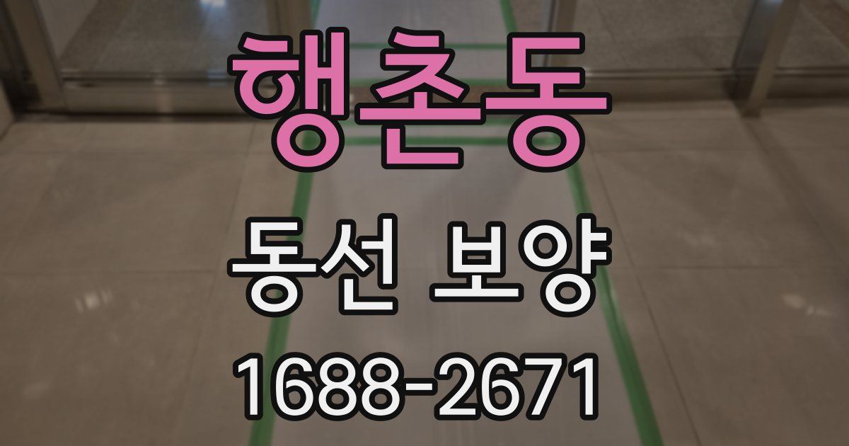 행촌동 동선 보양