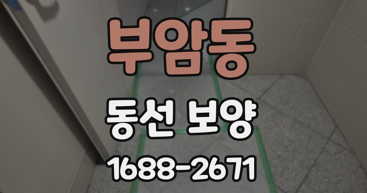 부암동 동선 보양