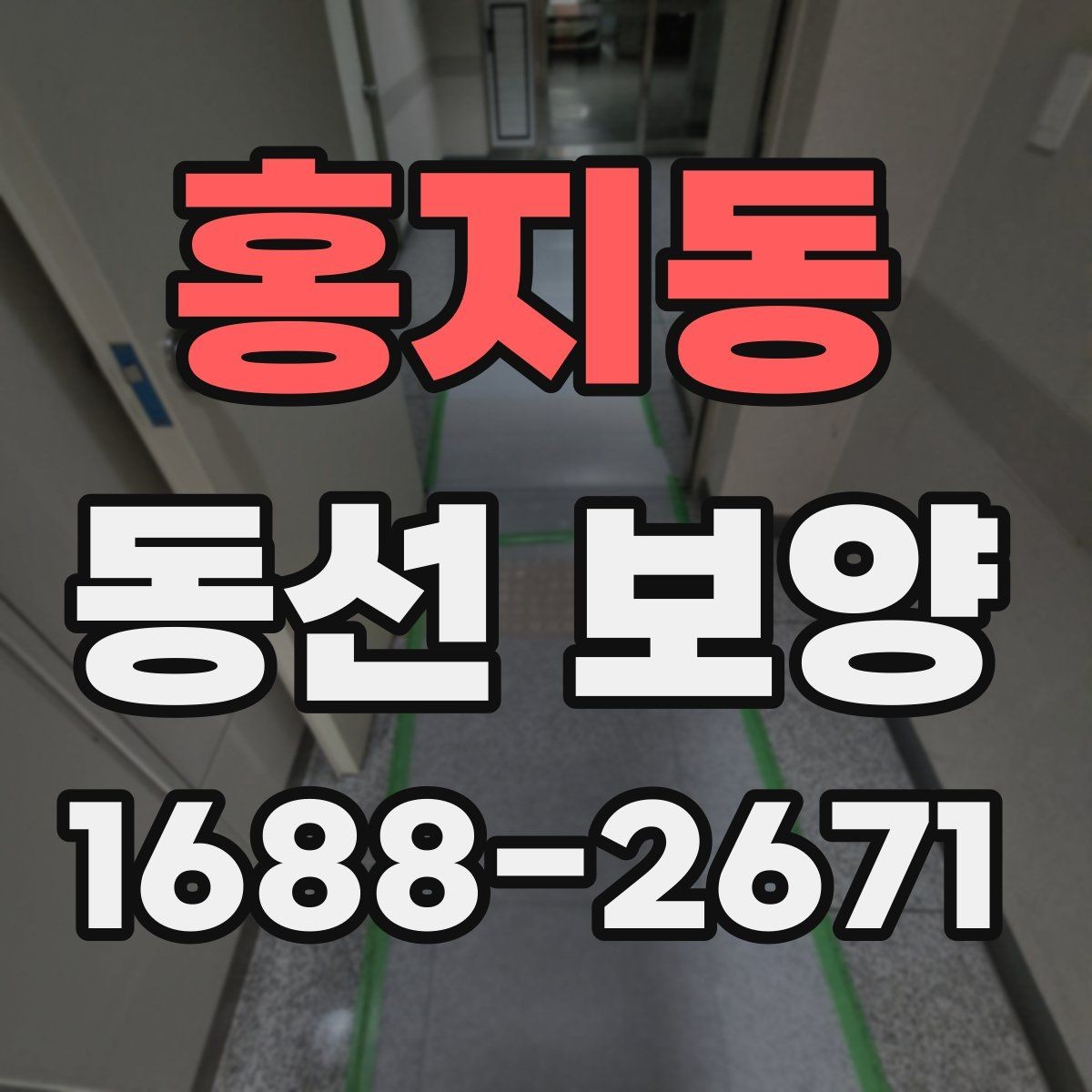홍지동 동선 보양 작업을 안전하게 진행하는 방법