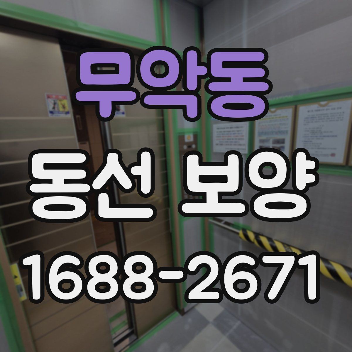 무악동 동선 보양 시 흔히 놓치는 부분들
