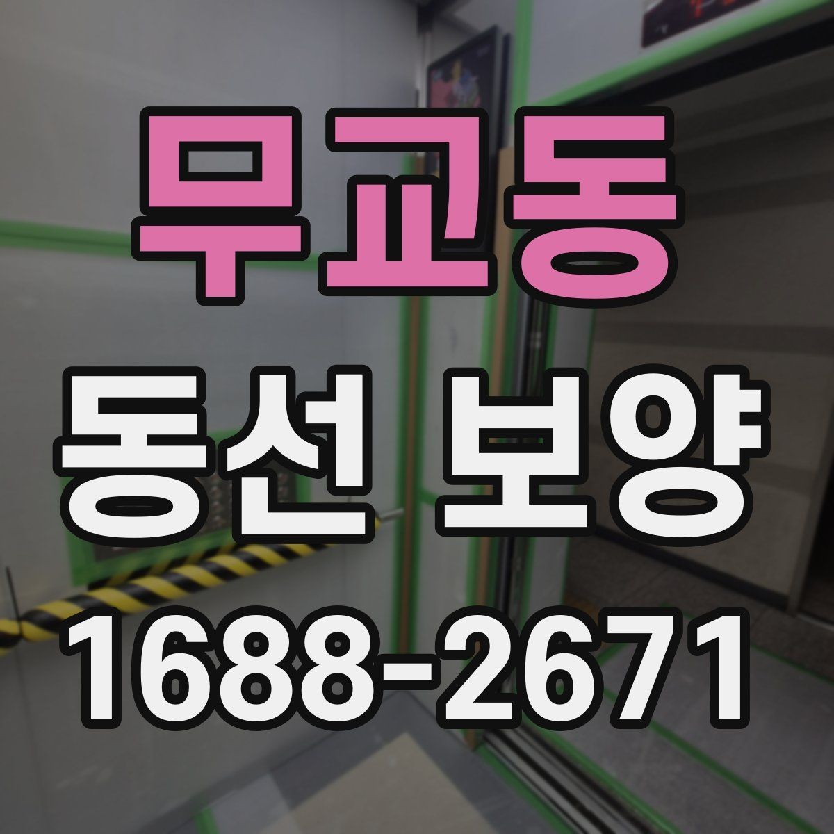 무교동 동선 보양 시 필요한 안전 수칙과 보호 장비