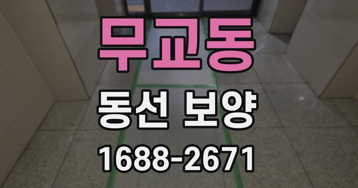 무교동 동선 보양