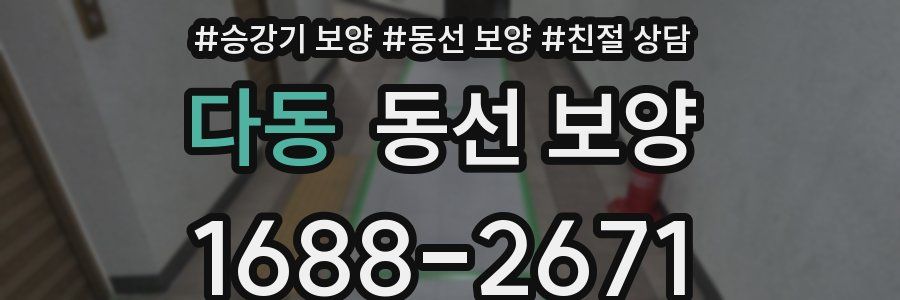 다동 동선 보양