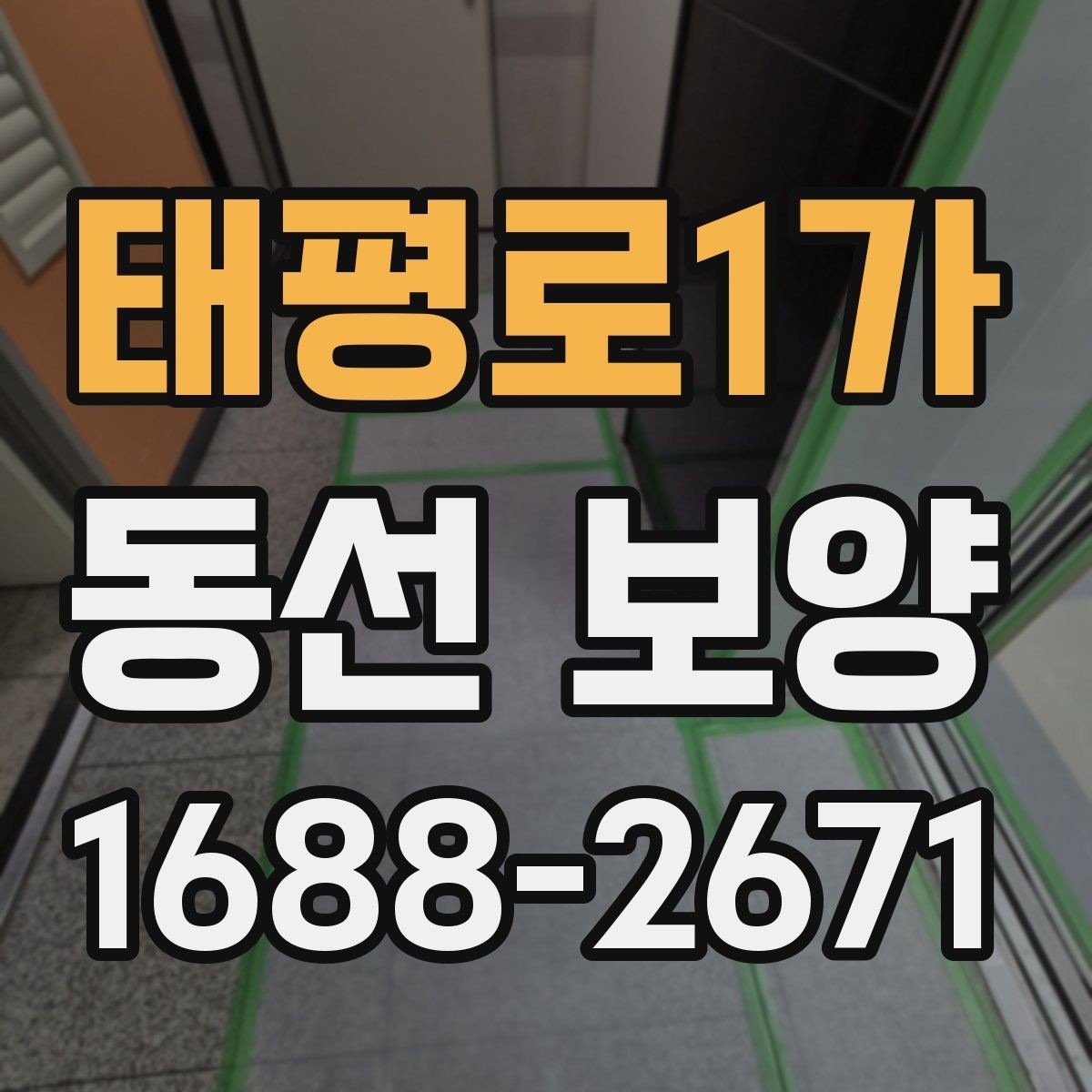 태평로1가 동선 보양 적용 사례를 통해 보는 차이